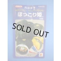 送料無料　[かぼちゃ]　ほっこり姫　100粒　タキイ種苗(株)