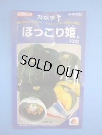 送料無料　[かぼちゃ]　ほっこり姫　100粒　タキイ種苗(株)
