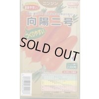 送料無料 [人参] 向陽二号 ペレット種子 2000粒 タキイ種苗(株)