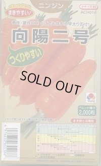 送料無料 [人参] 向陽二号 ペレット種子 2000粒 タキイ種苗(株)