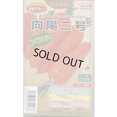 画像1: 送料無料 [人参] 向陽二号 ペレット種子 2000粒 タキイ種苗(株)