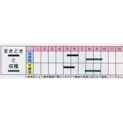 画像2: [胡麻]　黒胡麻　5ml（およそ1500粒）