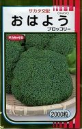 送料無料　[ブロッコリー]　おはよう　2000粒　(株)サカタのタネ