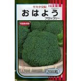 送料無料　[ブロッコリー]　おはよう　2000粒　(株)サカタのタネ