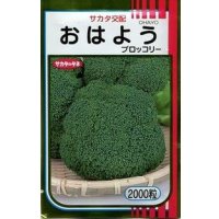 送料無料　[ブロッコリー]　おはよう　2000粒　(株)サカタのタネ