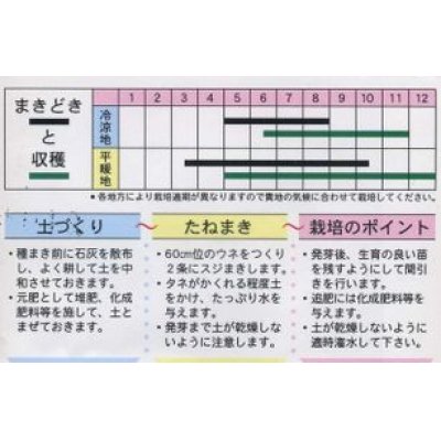 画像2: [葉物]　岡ひじき　10ｍｌ　（株）タカヤマシード