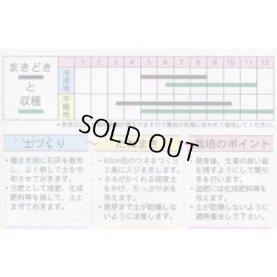 画像2: 送料無料　[葉物]　岡ひじき　10ml　(株)タカヤマシード