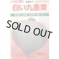 送料無料　[かぼちゃ]　白い九重栗　50粒　カネコ種苗（株）