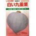 画像1: [かぼちゃ]　送料無料！　白い九重栗　1000粒　カネコ交配 (1)