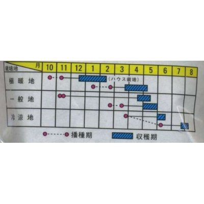 画像2: [えんどう]　つるなし　スナック2号　1ｄL　サカタのタネ（株）