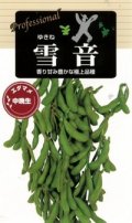送料無料　[枝豆]　雪音　70ml(およそ130粒)　雪印種苗(株)
