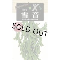 送料無料　[枝豆]　雪音　70ml(およそ130粒)　雪印種苗(株)