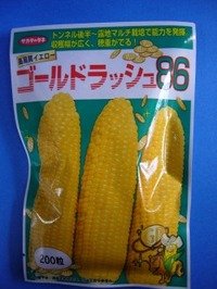 送料無料 [とうもろこし] ゴールドラッシュ86 200粒 (株)サカタのタネ