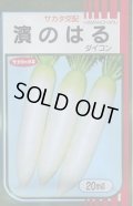 送料無料　[大根]　濱のはる　20ml　(株)サカタのタネ