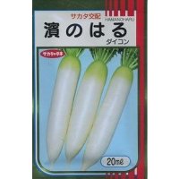 送料無料　[大根]　濱のはる　2dl　(株)サカタのタネ