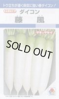 送料無料　[大根]　藤風　3.5ml　タキイ種苗(株)　DF
