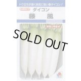 送料無料　[大根]　藤風　3.5ml　タキイ種苗(株)　DF
