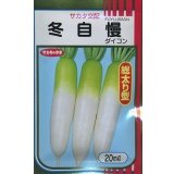 送料無料　大根　冬自慢　20ml　(株)サカタのタネ