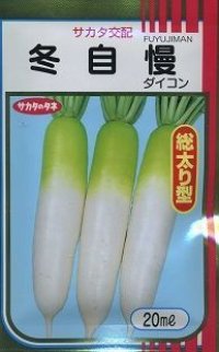送料無料　大根　冬自慢　20ml　(株)サカタのタネ