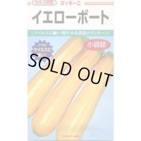 送料無料　[ズッキーニ]　イエローボート　10粒　カネコ種苗（株）