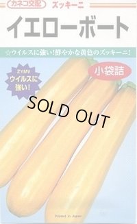 送料無料　[ズッキーニ]　イエローボート　10粒　カネコ種苗（株）