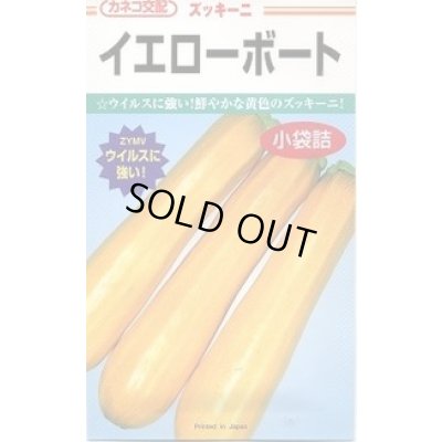 画像1: 送料無料　[ズッキーニ]　イエローボート　100粒　カネコ種苗（株）