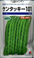 送料無料　[いんげん]　ケンタッキー101　1dl　タキイ種苗