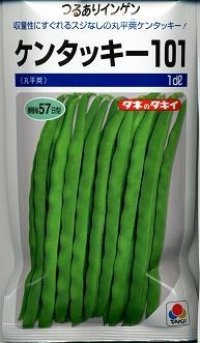 送料無料　[いんげん]　ケンタッキー101　1dl　タキイ種苗
