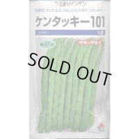 送料無料 [いんげん] ケンタッキー101 1dl タキイ種苗