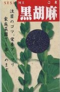 送料無料　[胡麻]　黒胡麻　5ml(およそ1500粒)