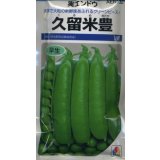 送料無料　[グリーンピース]　久留米豊　1dl(およそ280粒)　タキイ種苗