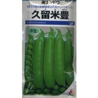 送料無料　[グリーンピース]　久留米豊　1dl(およそ280粒)　タキイ種苗