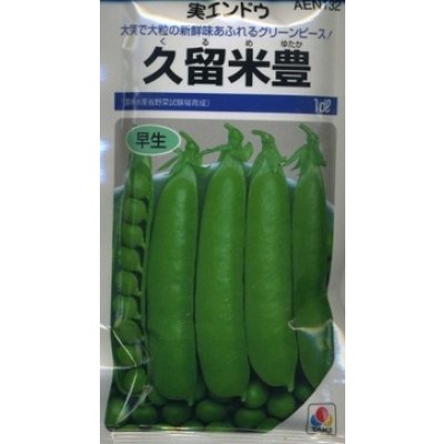 画像1: 送料無料　[グリーンピース]　久留米豊　1dl(およそ280粒)　タキイ種苗