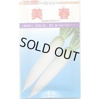送料無料　[大根]　美春　2dl　カネコ種苗（株）