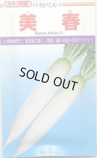 送料無料　[大根]　美春　2dl　カネコ種苗（株）
