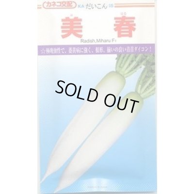 画像1: 送料無料　[大根]　美春　2dl　カネコ種苗（株）