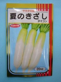 送料無料 [大根] 夏のきざし 20ml サカタ交配