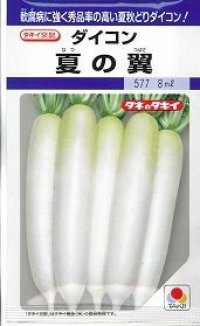 送料無料　[大根]　夏の翼　7ml　タキイ種苗(株)　DF