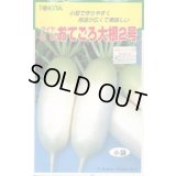 送料無料　[大根]　おてごろ大根2号　2ml　トキタ種苗(株)