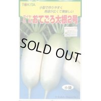 送料無料　[大根]　おてごろ大根2号　2ml　トキタ種苗(株)