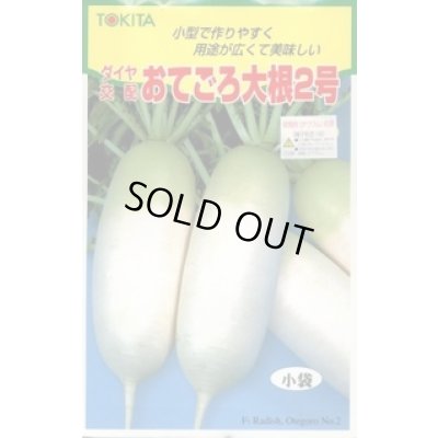 画像1: 送料無料　[大根]　おてごろ大根2号　20ml　トキタ種苗(株)
