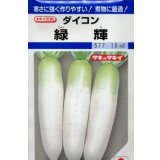 送料無料　[大根]　緑輝　16ml　タキイ種苗(株)　DF