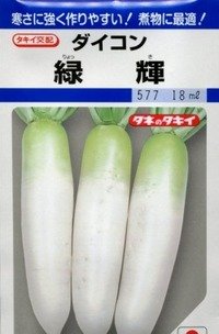 送料無料　[大根]　緑輝　16ml　タキイ種苗(株)　DF