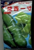 [そら豆]　陵西一寸　230粒　ヴィルモランみかど（株）