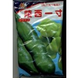 [そら豆]　陵西一寸　230粒　ヴィルモランみかど（株）