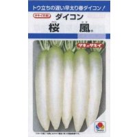 送料無料　[大根]　桜風　3.5ml　タキイ種苗(株)　DF
