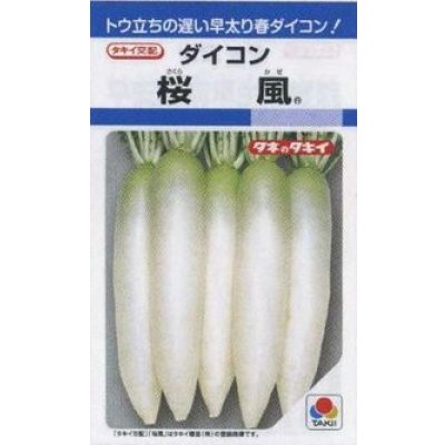 画像1: 送料無料　[大根]　桜風　3.5ml　タキイ種苗(株)　DF