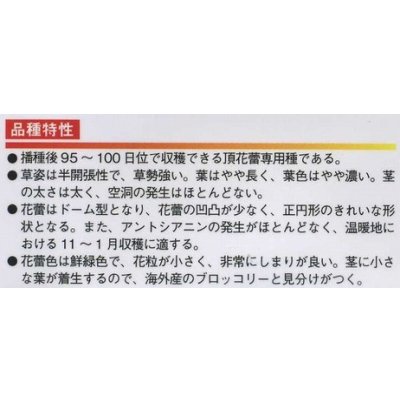 画像2: [ブロッコリー] 幸よし 1.2ml 貴種(コートしてません) ヴィルモランみかど（株）