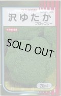 送料無料　[ブロッコリー]　沢ゆたか　20ml　(株)サカタのタネ