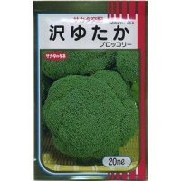 送料無料　[ブロッコリー]　沢ゆたか　20ml　(株)サカタのタネ